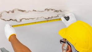 افضل شركة عزل لمعالجة العفن بمسقط