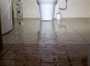 اسباب ظهور العفن بعد تسريب المياه 93330135